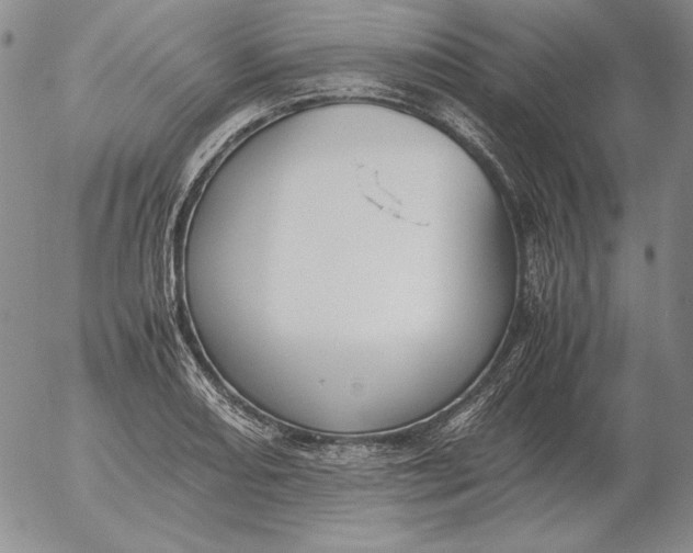 X0000053111082200508012118