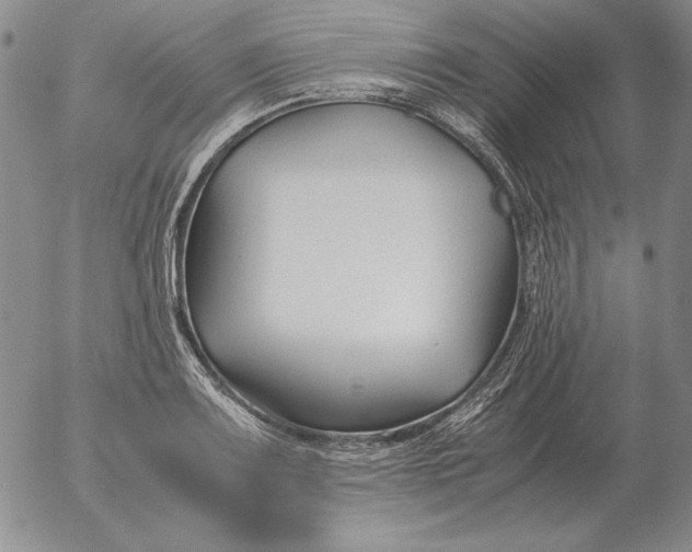 X0000053111083200508012118