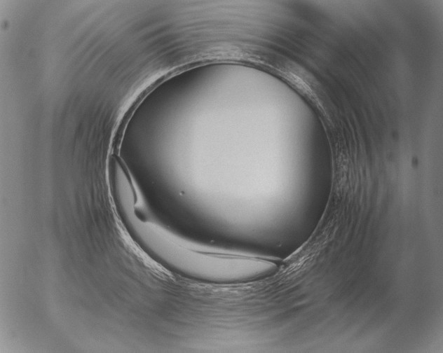 X0000053111084200508012118