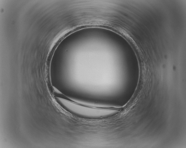 X0000053111085200508012118