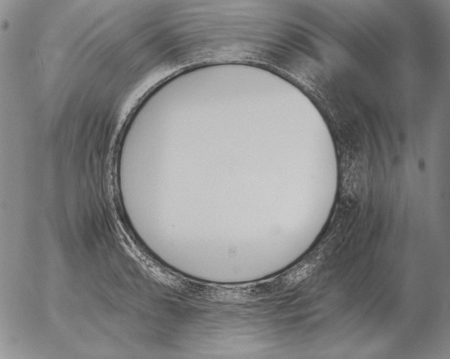 X0000053111086200508012118