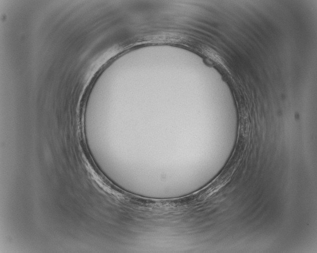 X0000053111087200508012118