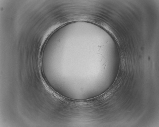 X0000053111088200508012118