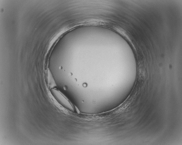 X0000053111091200508012118