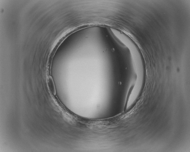 X0000053111093200508012118