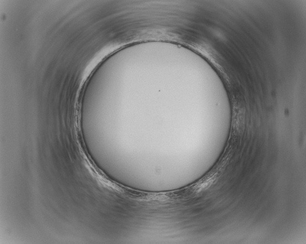 X0000053111094200508012118