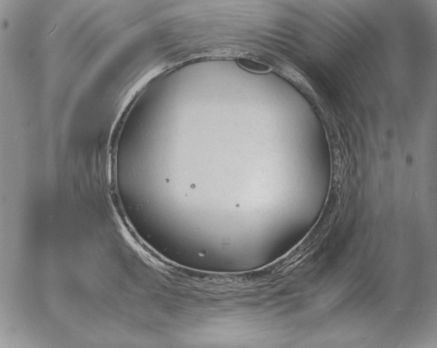 X0000053111095200508012118