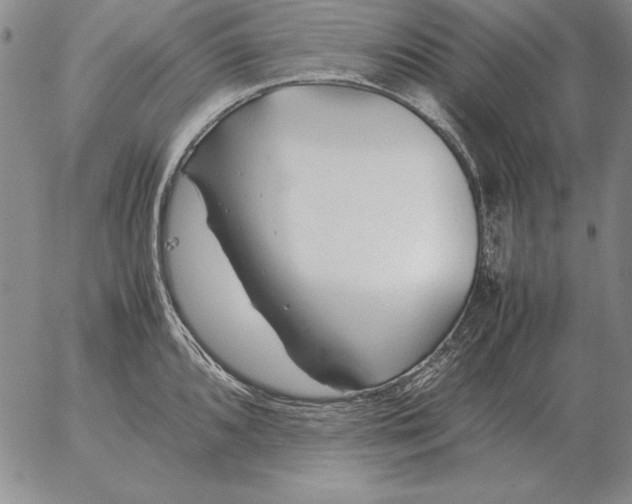 X0000053111096200508012118