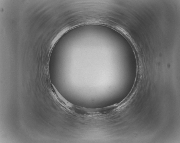 X0000053111097200508012118