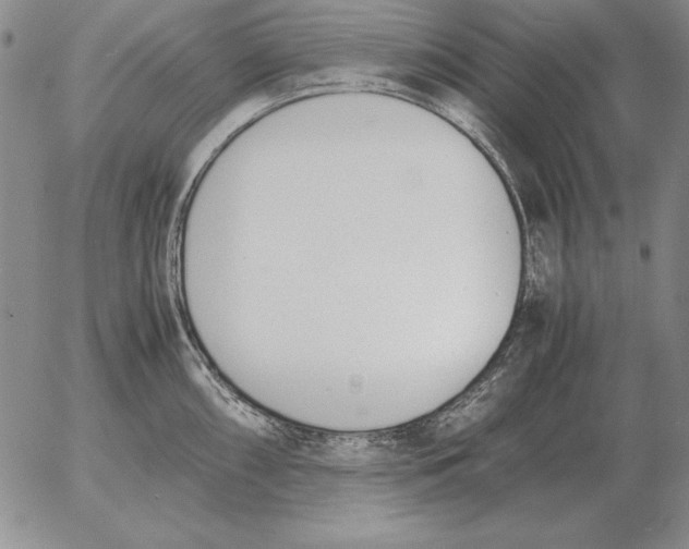 X0000053111098200508012118