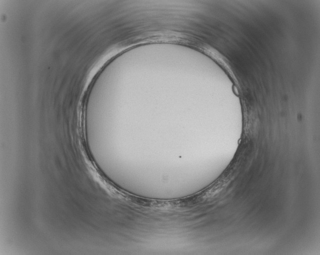 X0000053111099200508012118