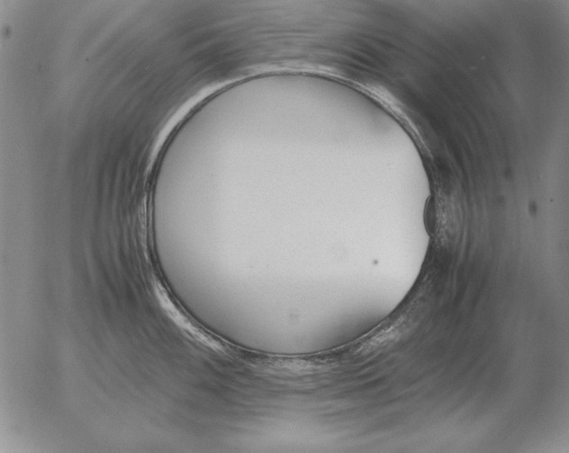 X0000053111100200508012118