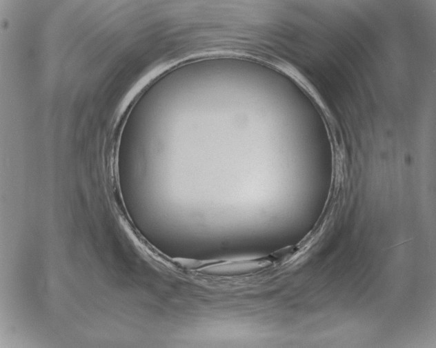 X0000053111101200508012118