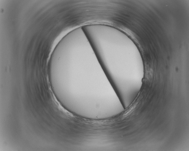 X0000053111102200508012118