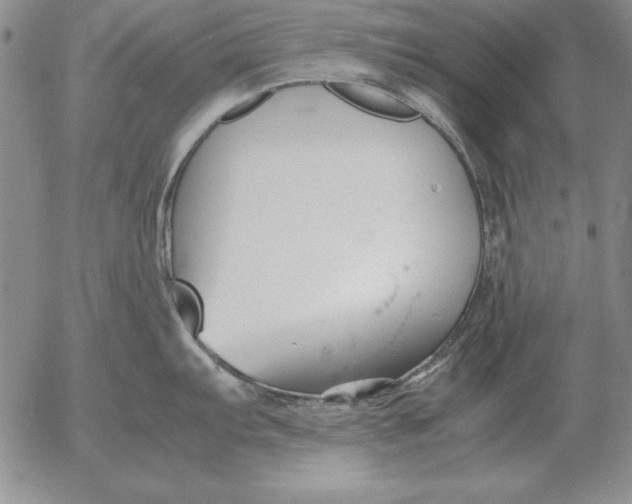 X0000053111103200508012118