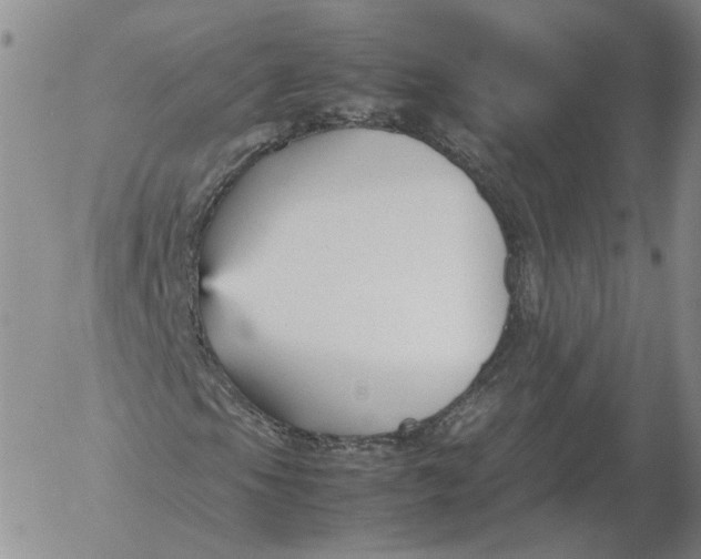 X0000053111105200508012117