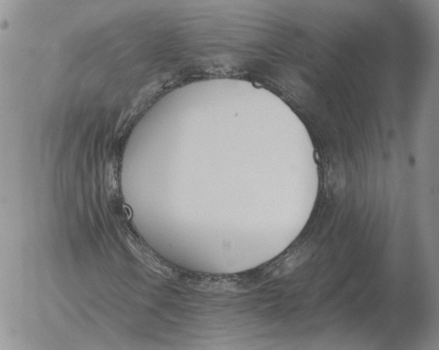 X0000053111106200508012117