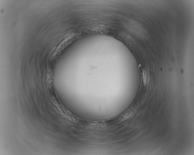 X0000053111107200508012117