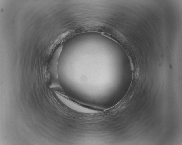 X0000053111108200508012117