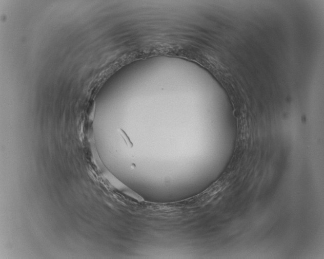 X0000053111109200508012117