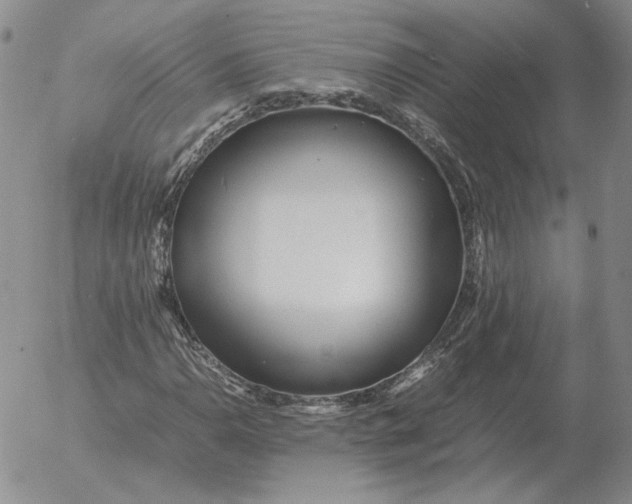 X0000053111110200508012117