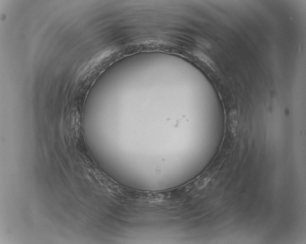 X0000053111111200508012117