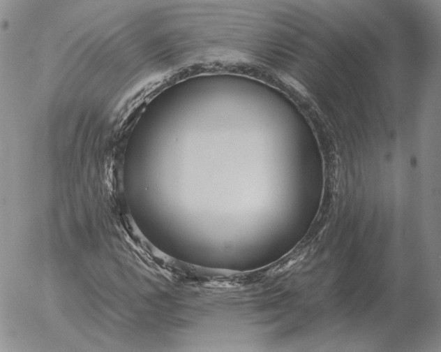 X0000053111112200508012117