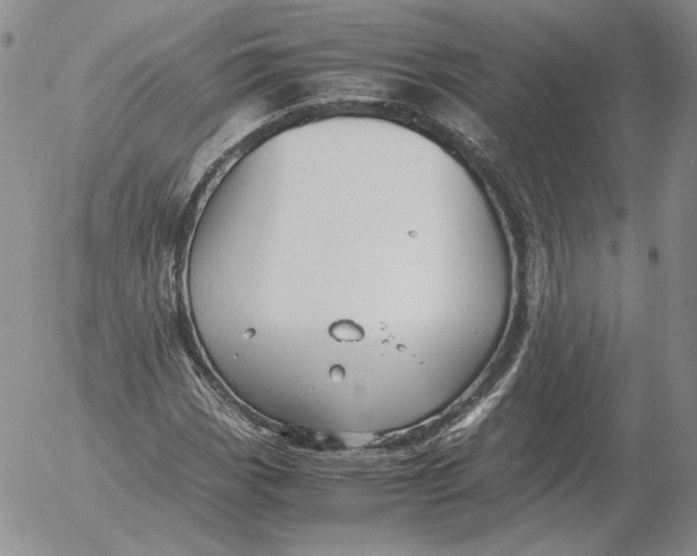 X0000053111113200508012117