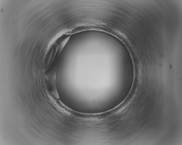 X0000053111114200508012117