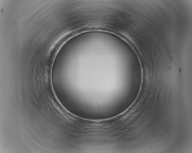 X0000053111115200508012117