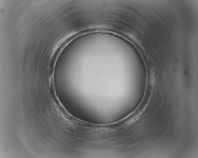 X0000053111117200508012117