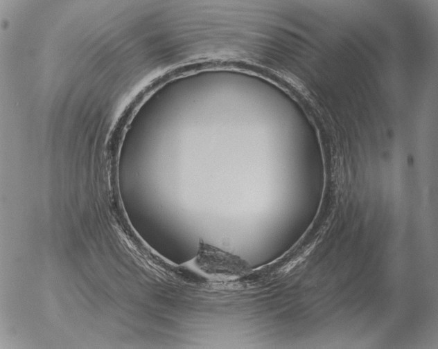 X0000053111118200508012117