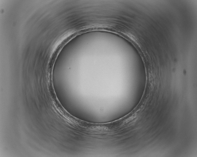 X0000053111119200508012117