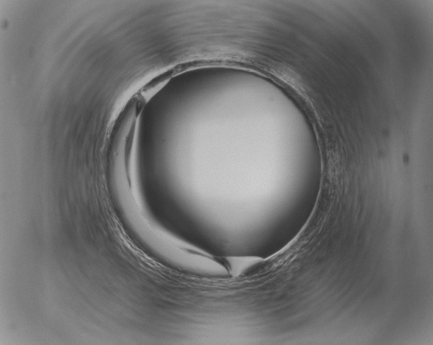 X0000053111120200508012117