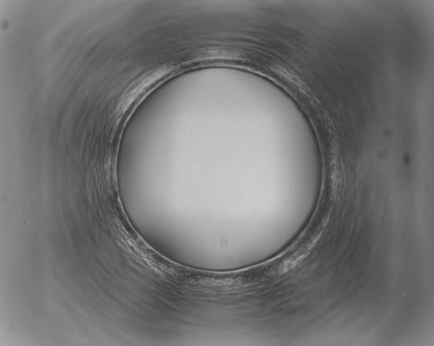 X0000053111121200508012117