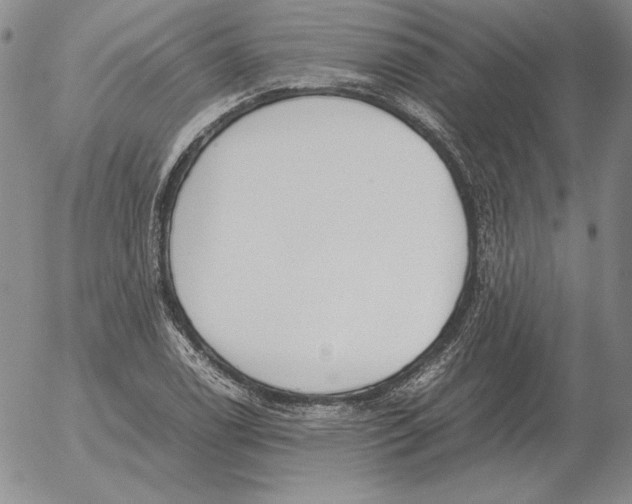 X0000053111122200508012117