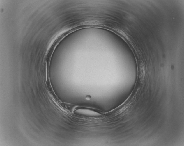 X0000053111123200508012117