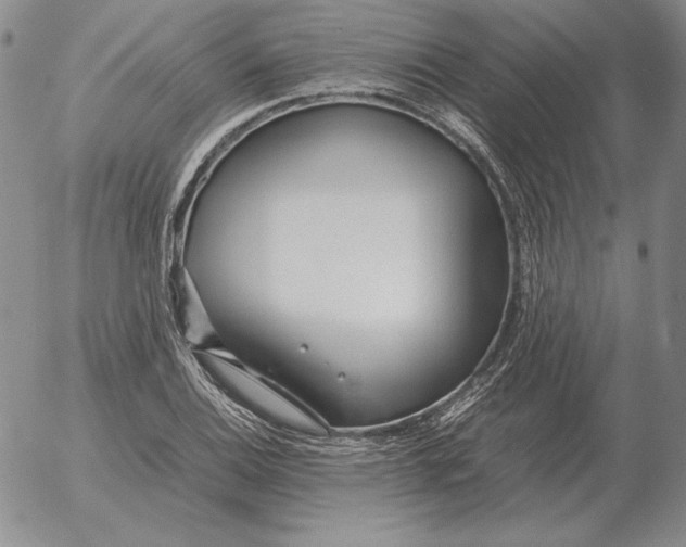 X0000053111124200508012117