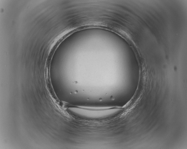 X0000053111125200508012118