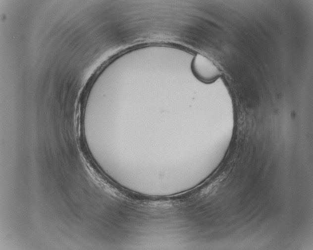 X0000053111126200508012118