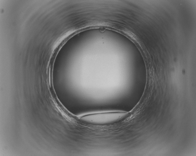 X0000053111127200508012118