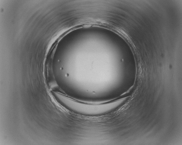 X0000053111128200508012118