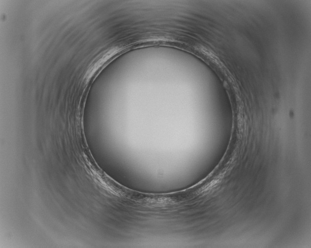 X0000053111129200508012118