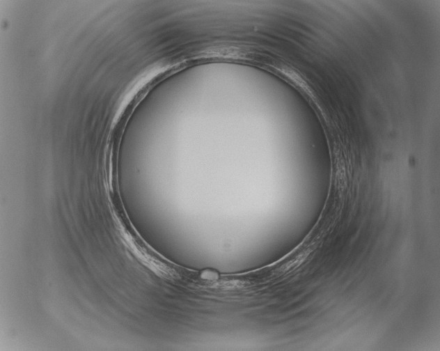 X0000053111131200508012118