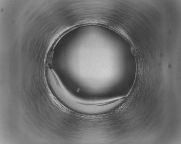 X0000053111132200508012118