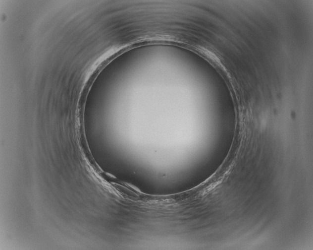 X0000053111133200508012118