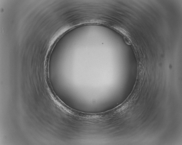 X0000053111135200508012118