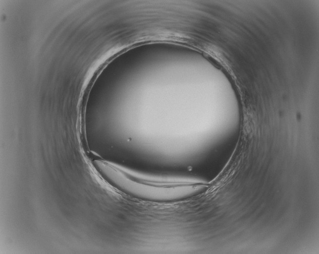 X0000053111136200508012118