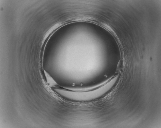 X0000053111138200508012118