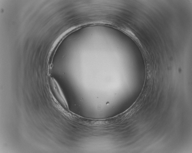 X0000053111140200508012118